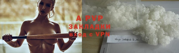 ПСИЛОЦИБИНОВЫЕ ГРИБЫ Белая Холуница