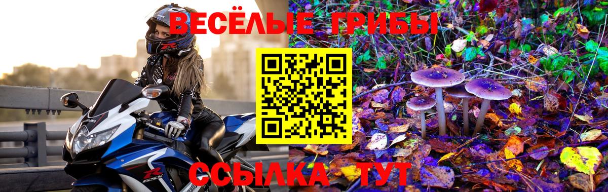 Галлюциногенные грибы прущие грибы  Вход с VPN  Тында  Псилоцибиновые грибы GOLDEN TEACHER 